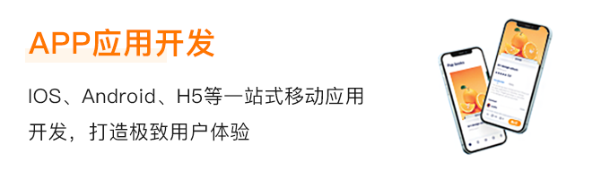 1678685554866608.png APP应用开发.png