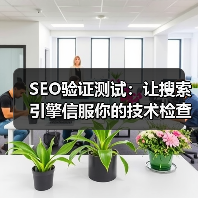 SEO验证测试:让搜索引擎信服你的技术检查策略(图3) SEO验证测试:让搜索引擎信服你的技术检查策略(图3)
