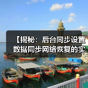 【揭秘：后台同步设置数据同步网络恢复的实战攻略】（图3）