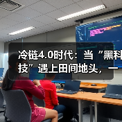 冷链4.0时代：当“黑科技”遇上田间地头，一场关乎14亿人餐桌的革命正在发生（图4）