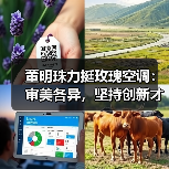 董明珠力挺玫瑰空调：审美各异，坚持创新才是硬道理（图2）