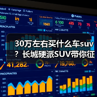 30万左右买什么车suv？长城硬派SUV带你征服全地形（图3）
