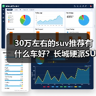 30万左右的suv推荐有什么车好？长城硬派SUV实力出众（图3）