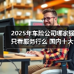 2025年车险公司哪家强只看服务行么 国内十大最新车险公司推荐服务介绍（图2）