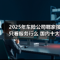 2025年车险公司哪家强只看服务行么 国内十大最新车险公司推荐服务介绍（图4）