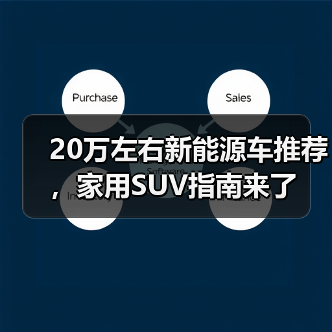 20万左右新能源车推荐，家用SUV指南来了（图4）