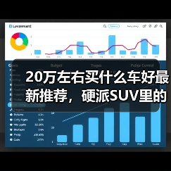 20万左右买什么车好最新推荐，硬派SUV里的实力派（图4）