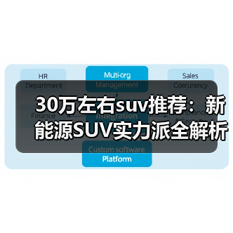 30万左右suv推荐：新能源SUV实力派全解析（图4）