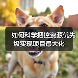 如何科学把控资源优先级实现项目最大化（图2）