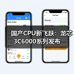 国产CPU新飞跃：龙芯3C6000系列发布（图4）