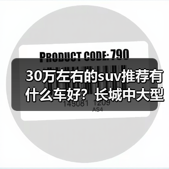 30万左右的suv推荐有什么车好？长城中大型SUV引领潮流（图4）