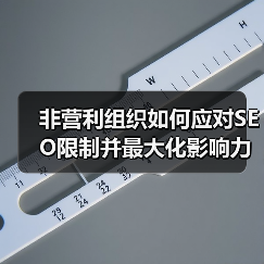 非营利组织如何应对SEO限制并最大化影响力（图1）
