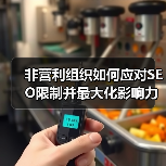 非营利组织如何应对SEO限制并最大化影响力（图4）