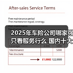 2025年车险公司哪家强只看服务行么 国内十大最新车险公司推荐服务介绍（图3）