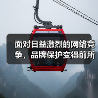 面对日益激烈的网络竞争，品牌保护变得前所未有的重要。特别是在搜索引擎优化（SEO）领域，Negative SEO攻势如影随形，成为威胁品牌断崖式下跌的隐形杀手。（图3）