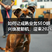 如何让成熟业务SEO振兴焕发新机,迎来2026年增长奇迹(图3) 如何让成熟业务SEO振兴焕发新机,迎来2026年增长奇迹(图3)