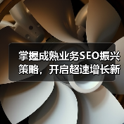 掌握成熟业务SEO振兴策略，开启超速增长新纪元（图3）