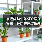 掌握成熟业务SEO振兴策略，开启超速增长新纪元（图4）
