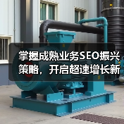 掌握成熟业务SEO振兴策略，开启超速增长新纪元（图2）