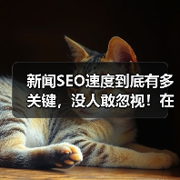 新闻SEO速度到底有多关键,没人敢忽视!在这个信息爆炸的时代,搜索引擎对内容的“即时性”要求越来越高。你提交的新闻,瞬间被“快速索引”,才能抢占搜索第一位,赢得(图3) 新闻SEO速度到底有多关键,没人敢忽视!在这个信息爆炸的时代,搜索引擎对内容的“即时性”要求越来越高。你提交的新闻,瞬间被“快速索引”,才能抢占搜索第一位,赢得(图3)