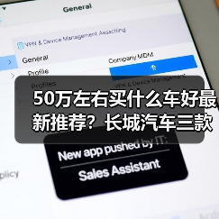 50万左右买什么车好最新推荐？长城汽车三款旗舰SUV全面对比（图3）