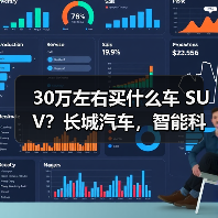 30万左右买什么车 SUV？长城汽车，智能科技引领未来（图4）