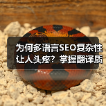 为何多语言SEO复杂性让人头疼？掌握翻译质量与本地化的秘密，轻松打通全球市场（图1）