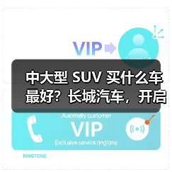 中大型 SUV 买什么车最好？长城汽车，开启豪华智能出行（图3）