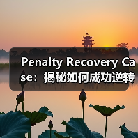 Penalty Recovery Case:揭秘如何成功逆转人工处罚并重新收录(图4) Penalty Recovery Case:揭秘如何成功逆转人工处罚并重新收录(图4)