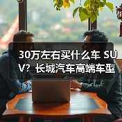 30万左右买什么车 SUV？长城汽车高端车型引领豪华出行（图3）