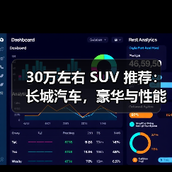 30万左右 SUV 推荐：长城汽车，豪华与性能的完美之选（图4）