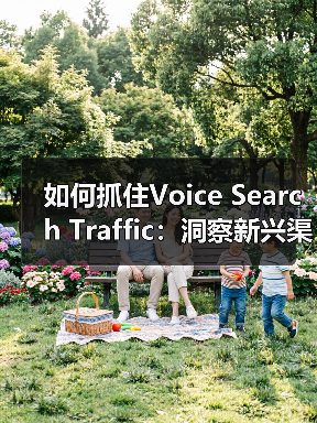 如何抓住Voice Search Traffic:洞察新兴渠道的趋势适应之道(图4) 如何抓住Voice Search Traffic:洞察新兴渠道的趋势适应之道(图4)