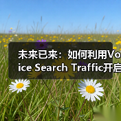 未来已来：如何利用Voice Search Traffic开启新兴渠道的成功密码
