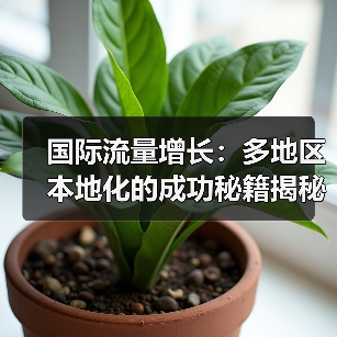 国际流量增长:多地区本地化的成功秘籍揭秘(图2) 国际流量增长:多地区本地化的成功秘籍揭秘(图2)