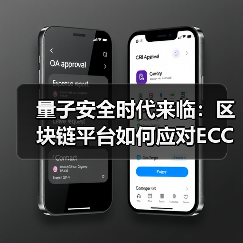量子安全时代来临：区块链平台如何应对ECC威胁（图2）