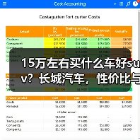 15万左右买什么车好suv？长城汽车，性价比与品质兼得（图2）