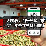AI无界：创维光伏“羲寰”平台开启智慧能源新生态