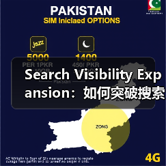 Search Visibility Expansion：如何突破搜索展示天花板（图2）