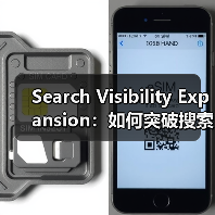 Search Visibility Expansion：如何突破搜索展示天花板