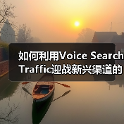 如何利用Voice Search Traffic迎战新兴渠道的未来趋势