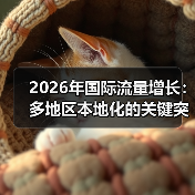 2026年国际流量增长:多地区本地化的关键突破策略(图3) 2026年国际流量增长:多地区本地化的关键突破策略(图3)