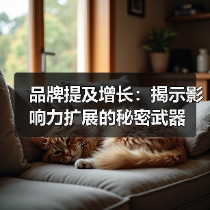 品牌提及增长：揭示影响力扩展的秘密武器（图3）
