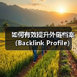 如何有效提升外链档案（Backlink Profile）质量和数量