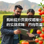 揭秘提升页面权威增长的实战攻略：内容质量决定排名能力