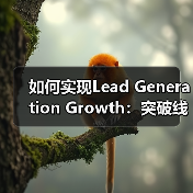如何实现Lead Generation Growth:突破线索生成增长的迷局(图2) 如何实现Lead Generation Growth:突破线索生成增长的迷局(图2)