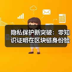 隐私保护新突破:零知识证明在区块链身份验证中的应用(图3) 隐私保护新突破:零知识证明在区块链身份验证中的应用(图3)