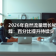 2026年自然流量增长秘籍:百分比提升持续突破之道(图3) 2026年自然流量增长秘籍:百分比提升持续突破之道(图3)