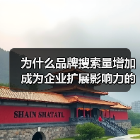 为什么品牌搜索量增加成为企业扩展影响力的秘密武器？