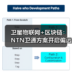 卫星物联网+区块链：NTN卫通方案开启偏远通信新纪元（图3）