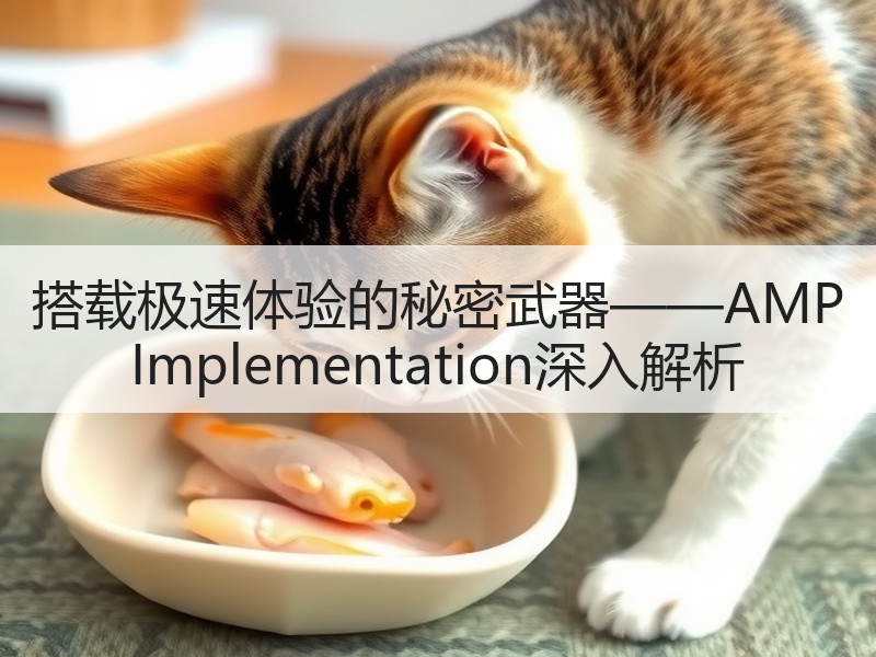 搭载极速体验的秘密武器——AMP Implementation深入解析